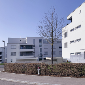 Wohnüberbauung Waldpark zwei gegenüberstehende Gebäude